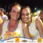 Bloco Skol Folia